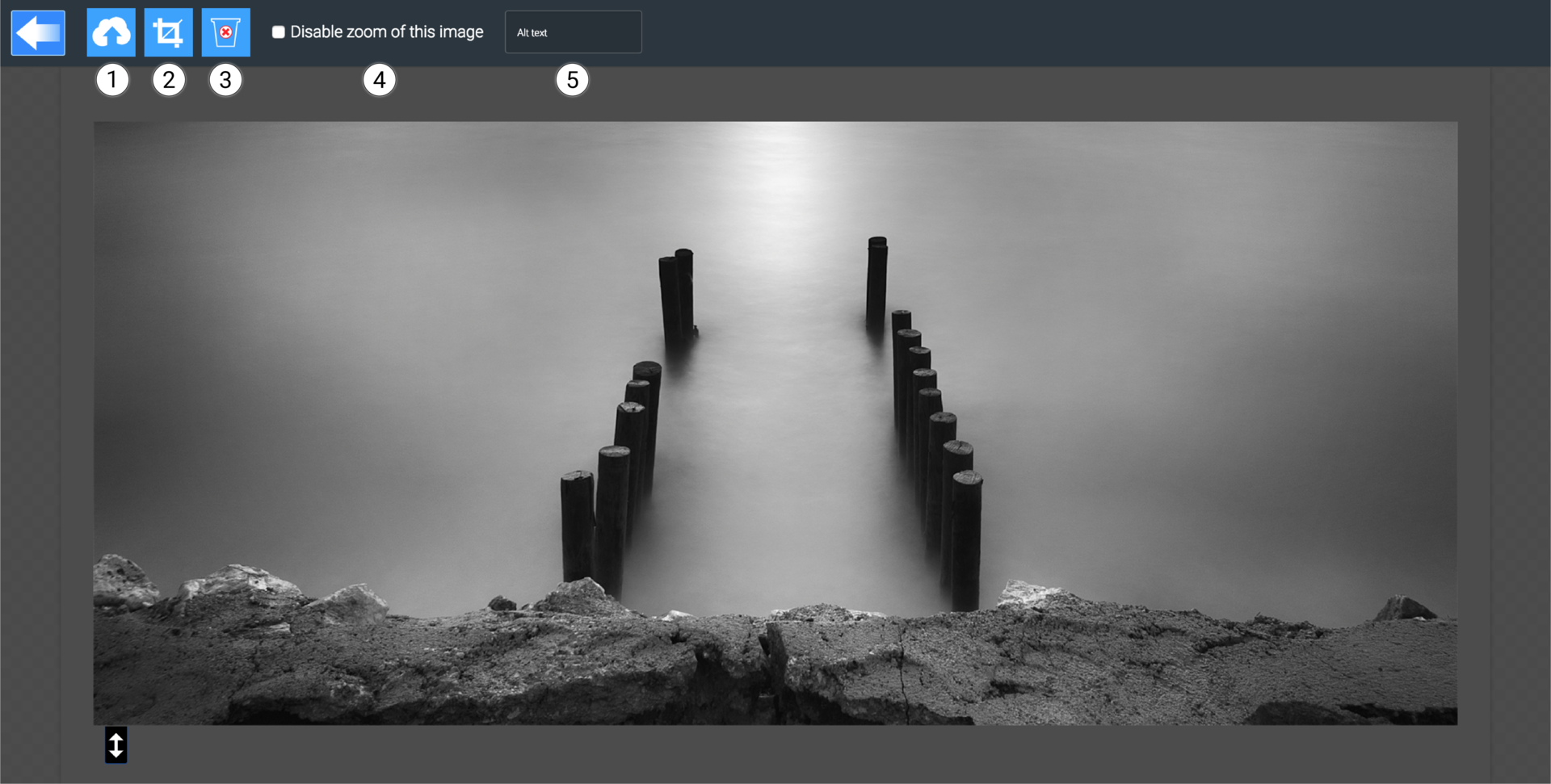 LiquidBlox image editor - image alt text