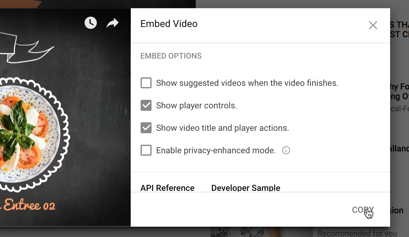 LiquidBlox editor - video options