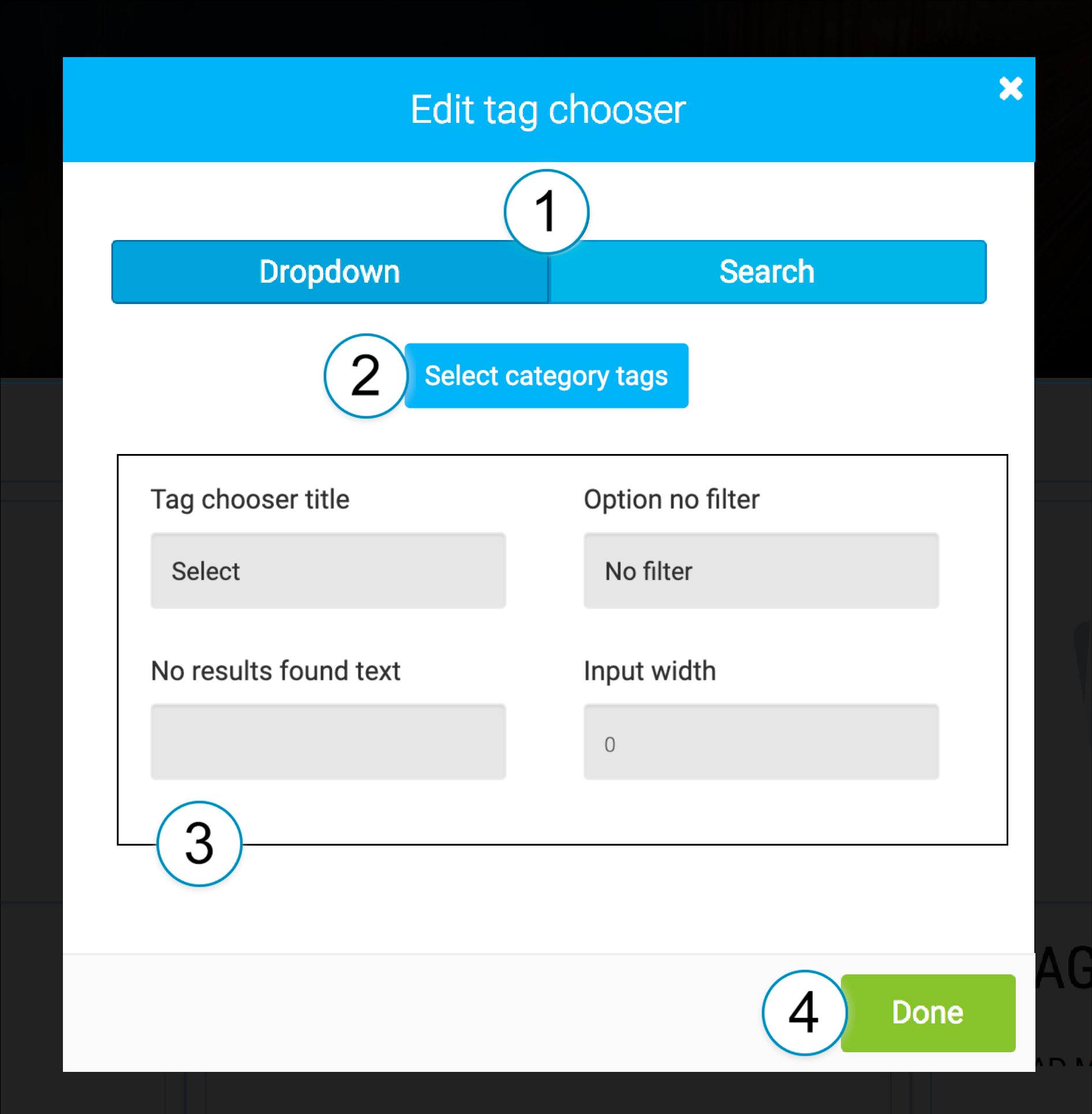 LiquidBlox editor - editing a tag chooser