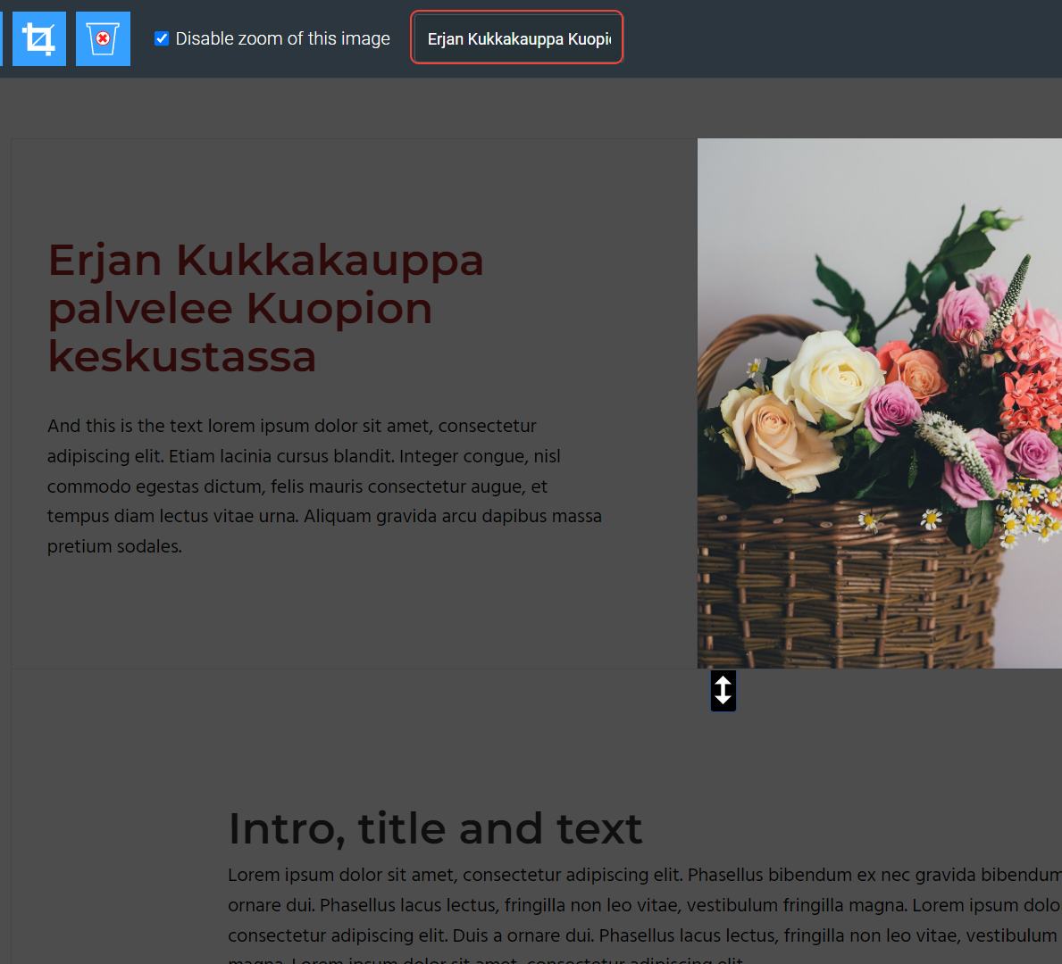 Käytä kuvissa alt-tekstejä.