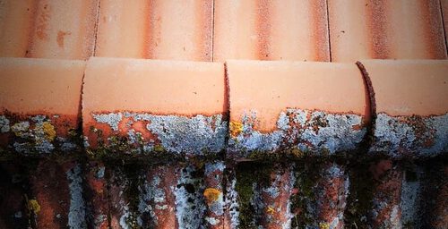 Puhdistettu tiilikatto Tuusulassa