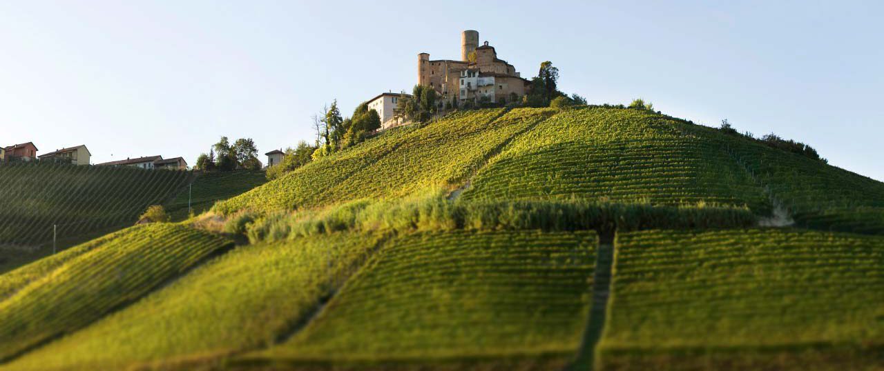 Vietti Perbacco 2019