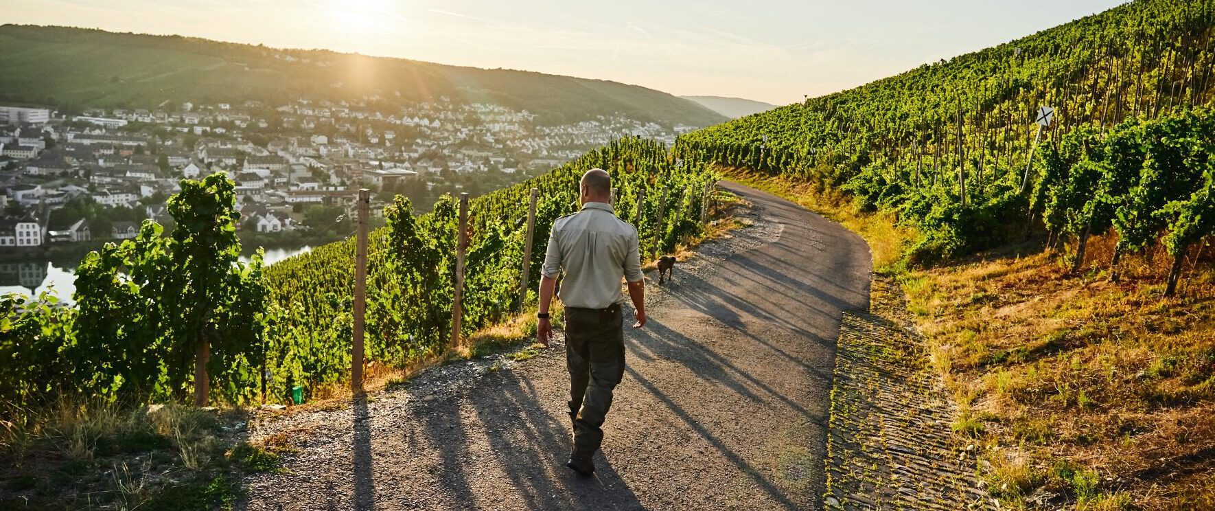 Dr Thanisch Riesling Feinherb 2021