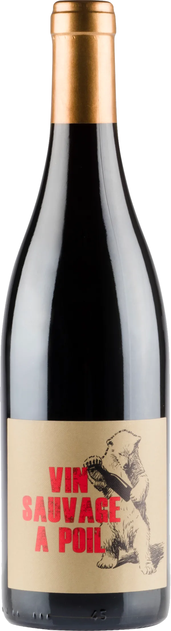 Vin Sauvage à Poil Régnié 2019