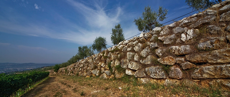 Zenato Lugana Riserva 2019
