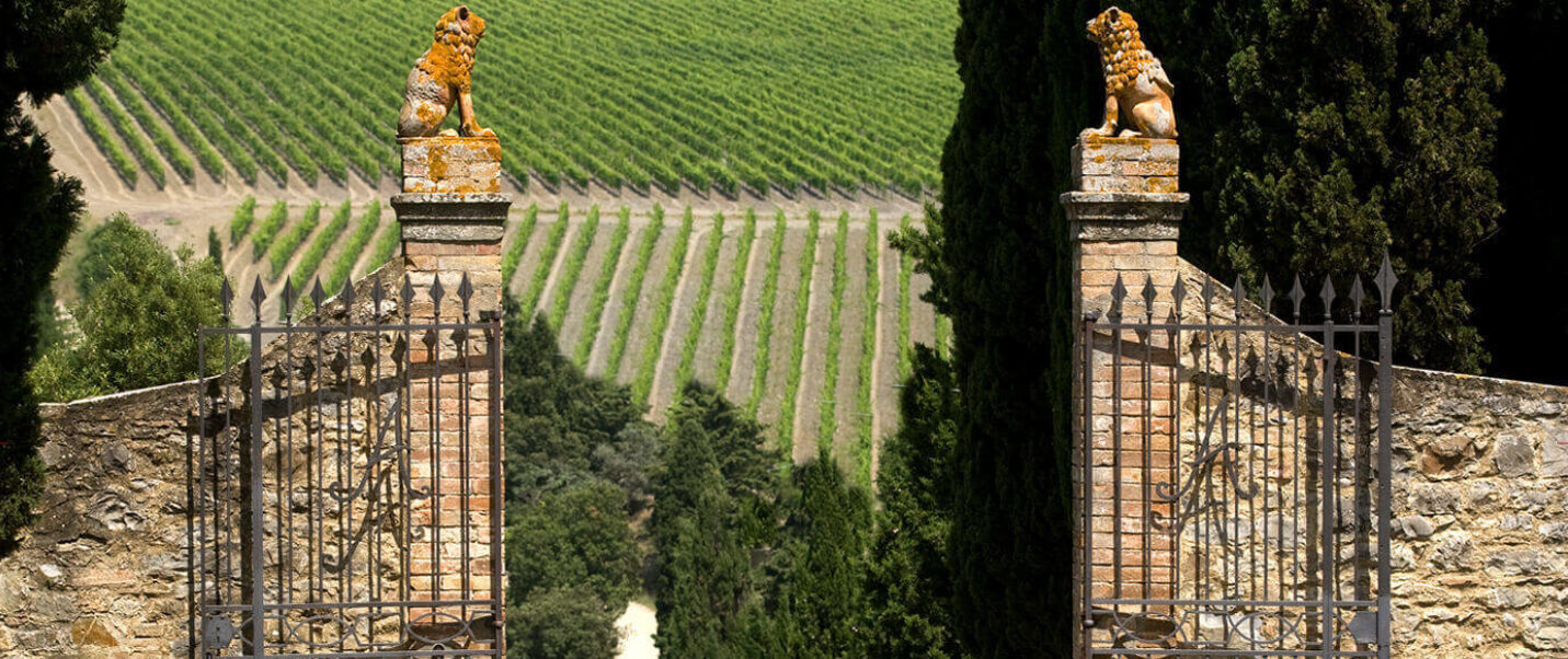 Frescobaldi Alìe Rosé 2020