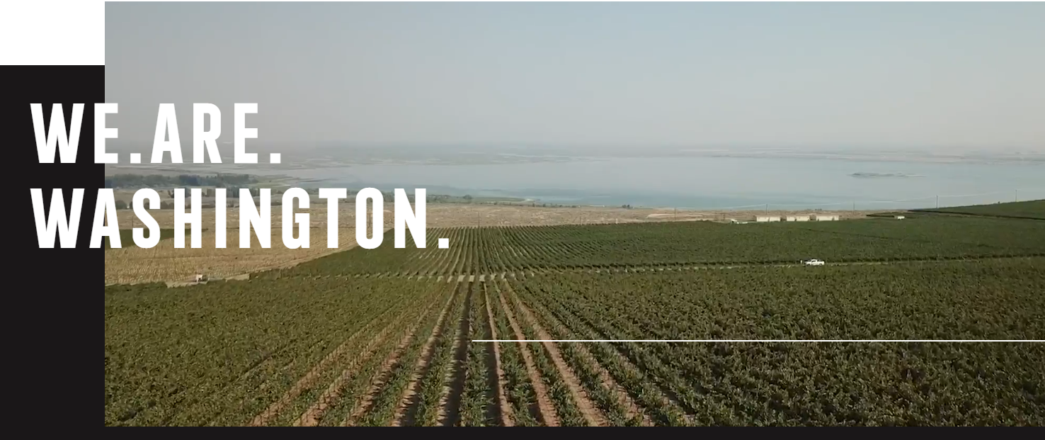 K Art den Hoed Vineyard Viognier 2020