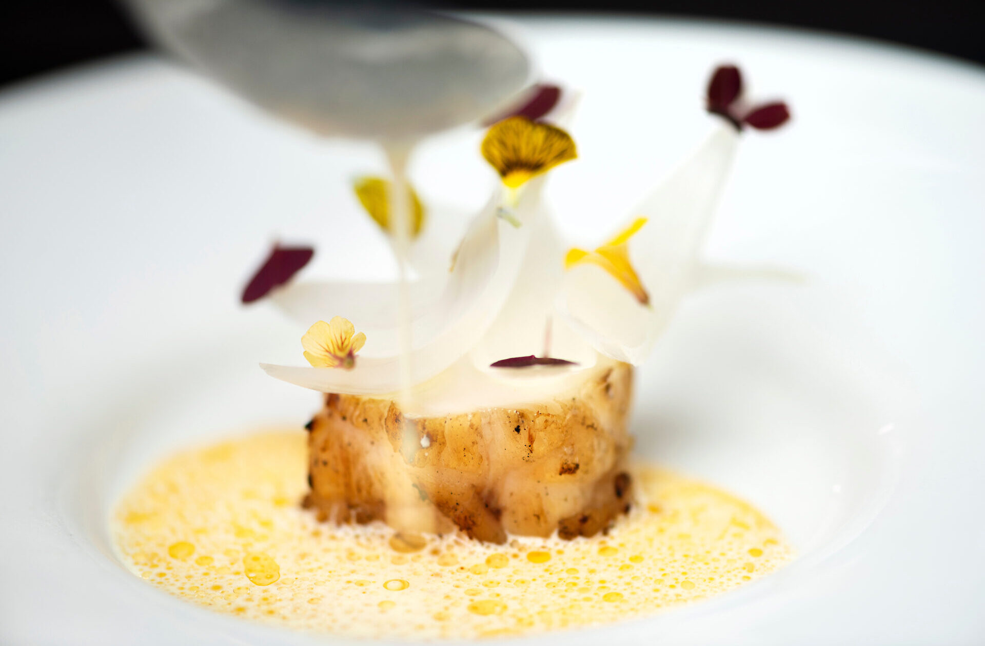 Merikrottia, sahramia ja sipulia