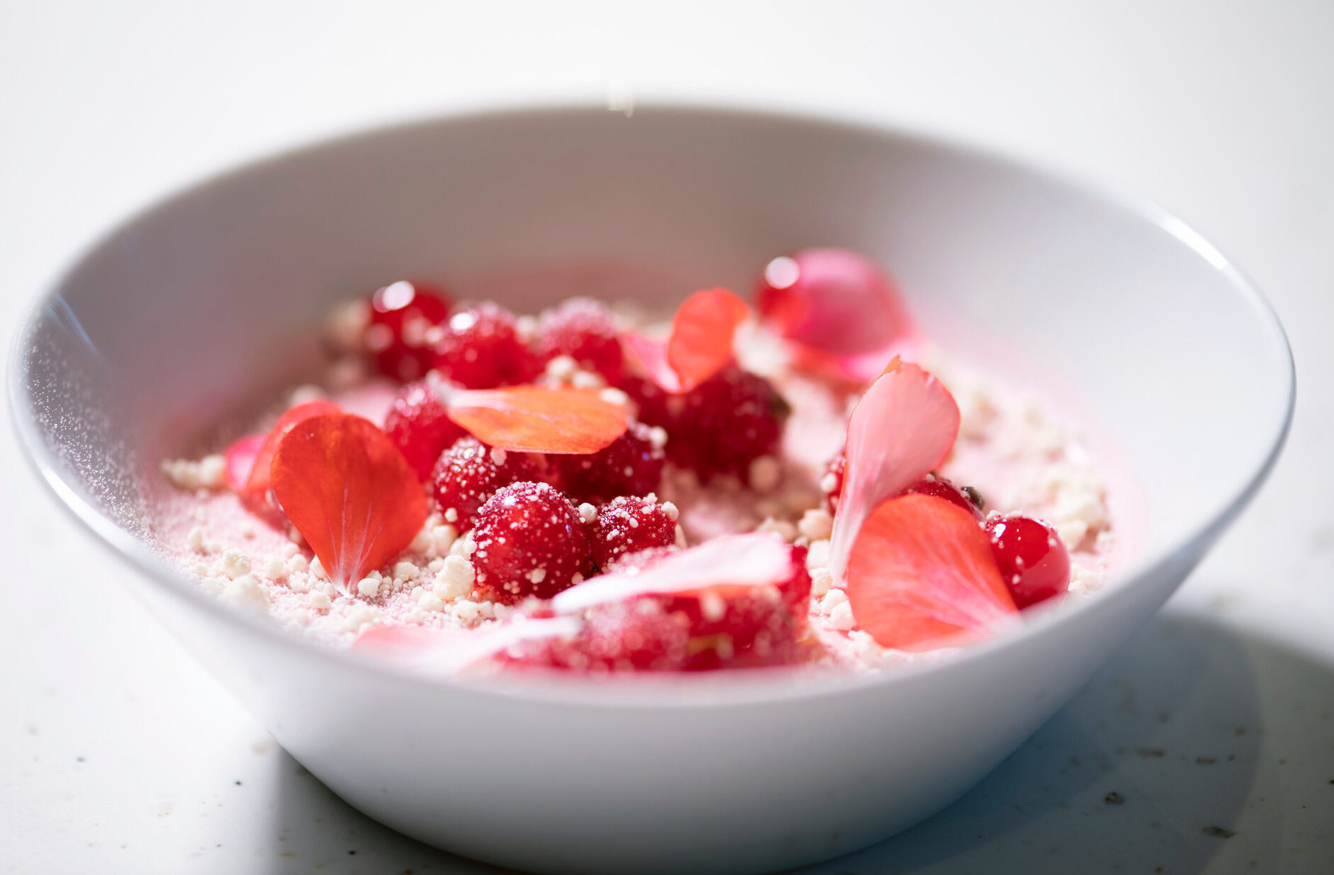 Karpaloposettia ja valkosuklaata