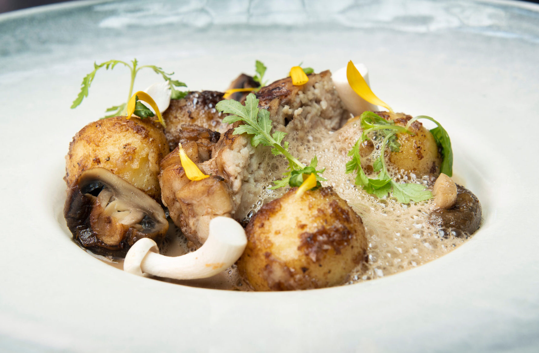 Perunagnoccheja, paistettua kateenkorvaa ja sienivaahtoa