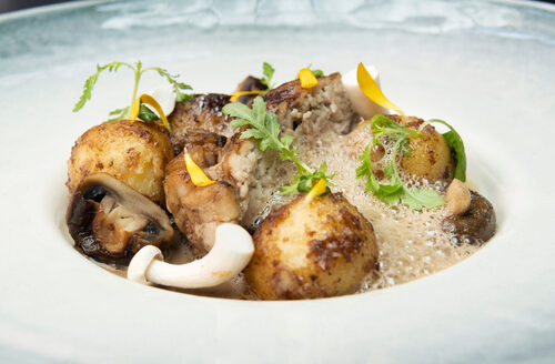 Perunagnoccheja, paistettua kateenkorvaa ja sienivaahtoa