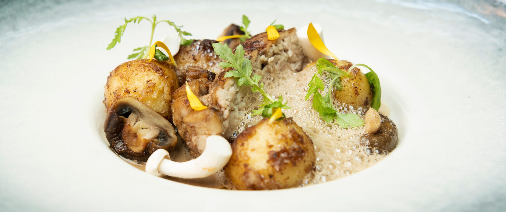 Perunagnoccheja, paistettua kateenkorvaa ja sienivaahtoa