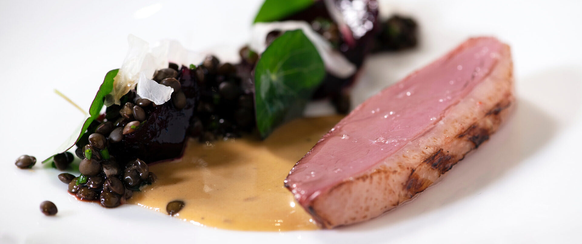 Sorsaa, punajuurta, lintukastiketta